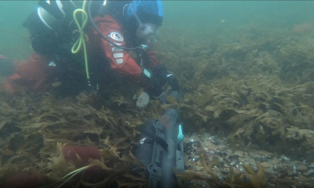 Divers